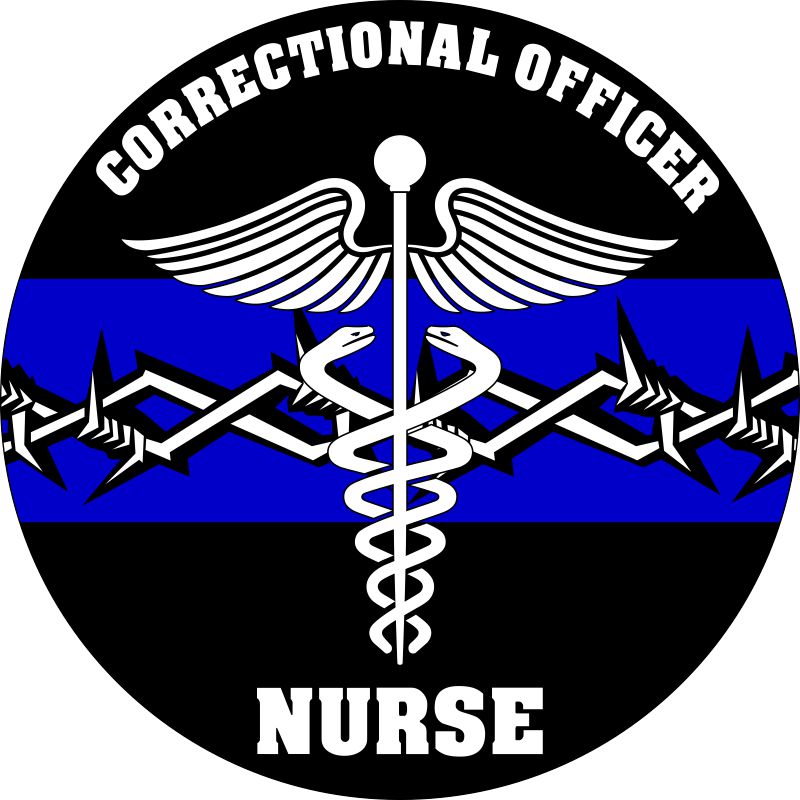 Correctional Officer Nurse Blue Line Decal – Powercall Sirens LLC