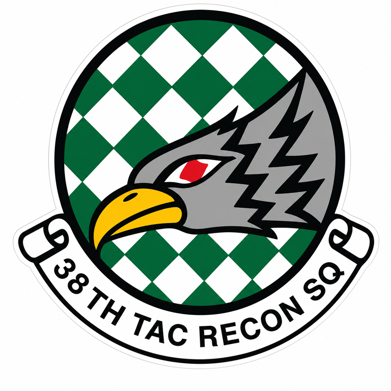 38th Tac Recon Squad Customer Window or Helmet Decal economy non-reflective decal