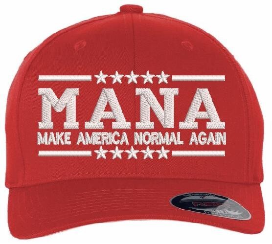 Make America Normal Again Embroidered Flex Fit Royal Blue or Red Fitted Hat with back USA Flag