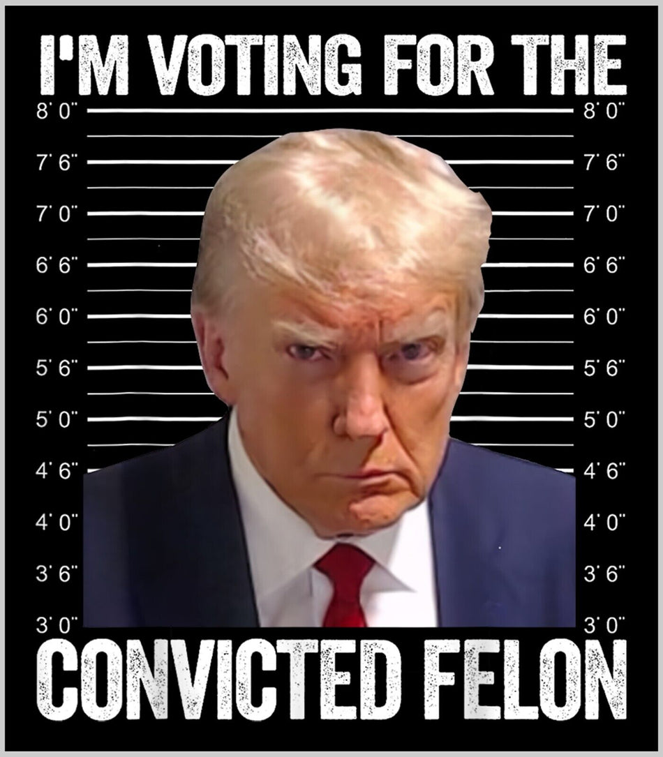 Voting for a Felon Trump 2024 Jail Style Sticker or Magnet MAGA Trump Sticker