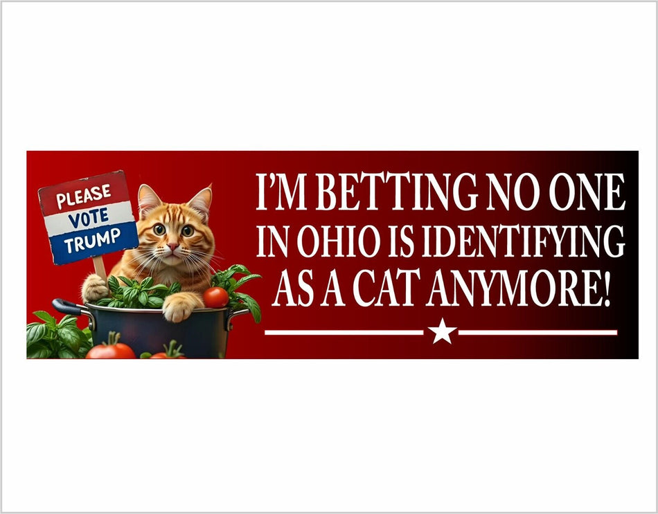 Cats for Trump Bumper Sticker or Magnet Nobody in Ohio Identifies as a cat TRUMP