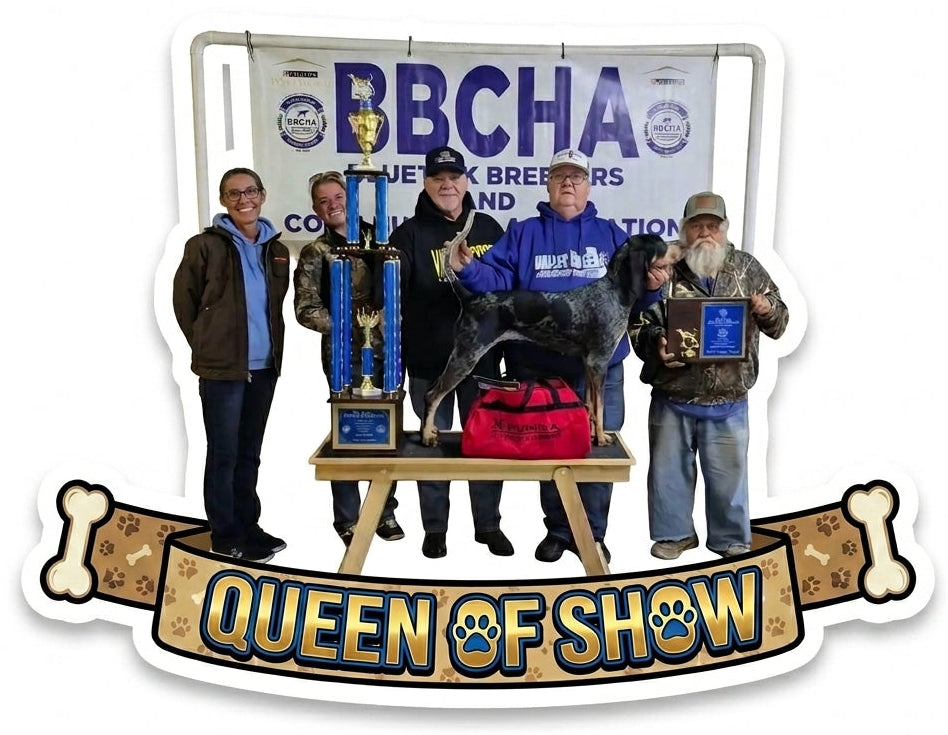 Queen of Show BBCHA Customer window/Hardhat Decal