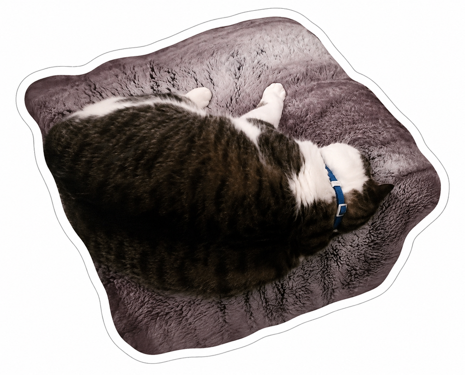 Cat on Cat Bed Customer Decal – Economy Bulk Decals sqd.1