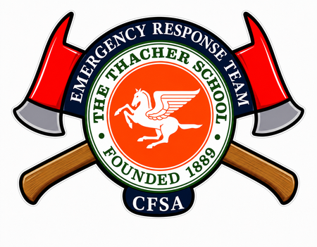 CFSA Emergency Response Window or Helmet Decal economy bulk decal