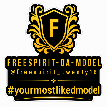 Free Spirit DA Model Customer Window or Helmet Decal economy non-reflective decal