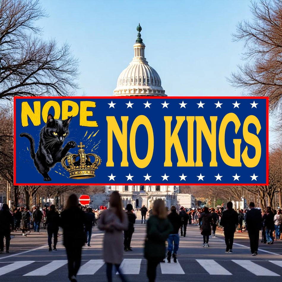 No Kings In America Since 1776 NOPE Car Magnet, Anti Fascism Bumper Sticker, Political Bumper Magnet, Protect Democracy