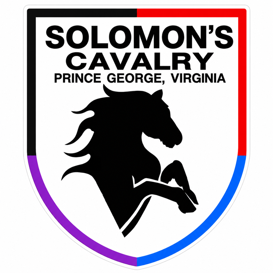 Solomon's Cavalry Horse Customer Window or Helmet Decal (sqd.1)