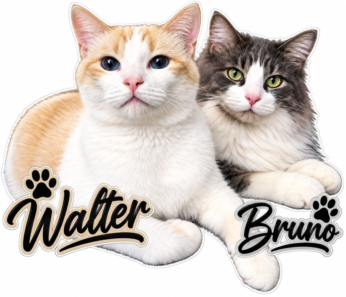 Walter Bruno Cat Design PREMIUM Customer Window or Helmet Decal (sqd.1)