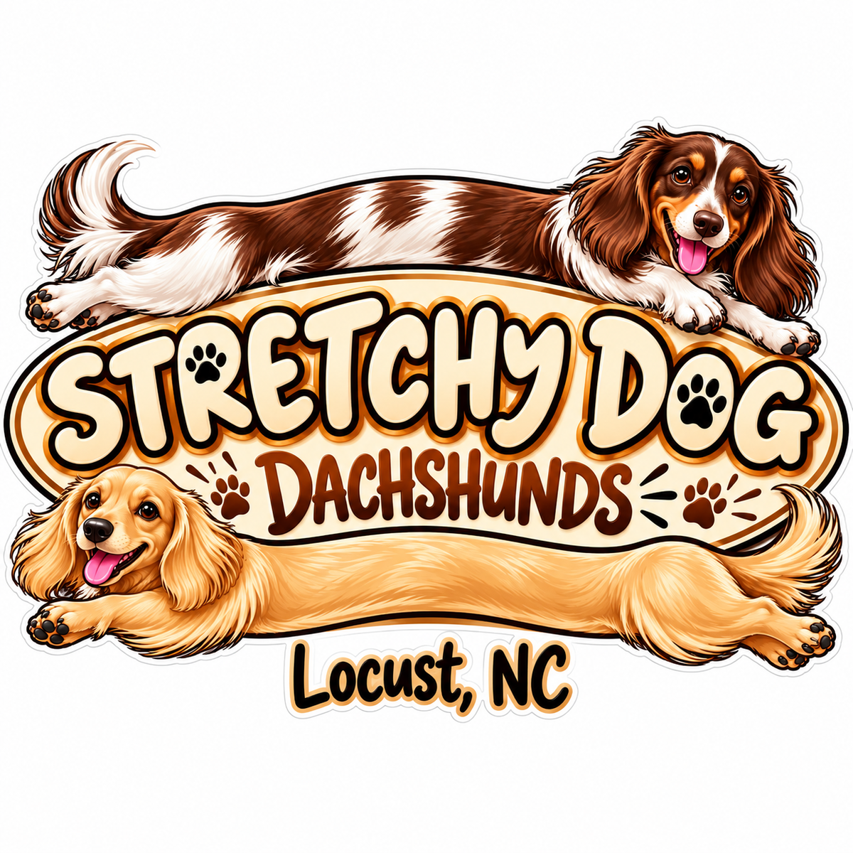Stretchy Dog Dachshunds PREMIUM Customer Window or Helmet Decal (rct.1)