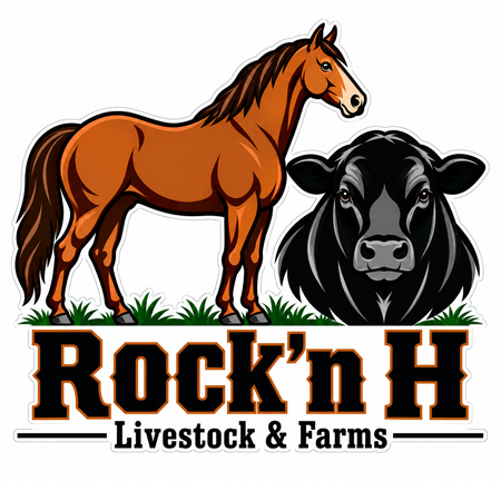 Rock'n H Livestock PREMIUM Customer Window or Helmet Decal (sqd.1)