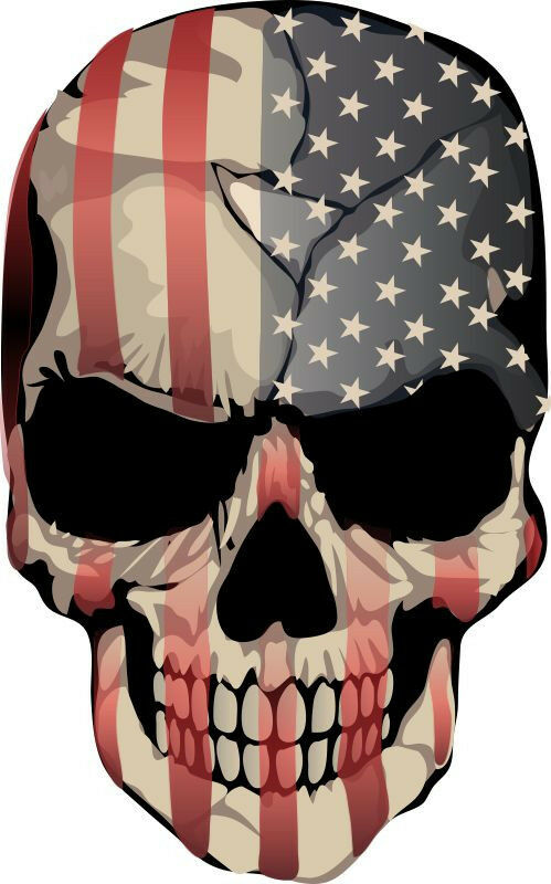 Punisher Skull Realistic American Flag Skull Decal - Various Sizes - Powercall Sirens LLC