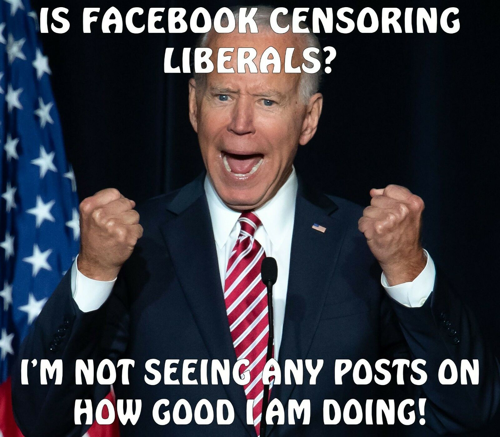 Joe Biden Sticker - Facebook Censoring Liberals Bumper Sticker 5" x 5.6" Sticker - Powercall Sirens LLC