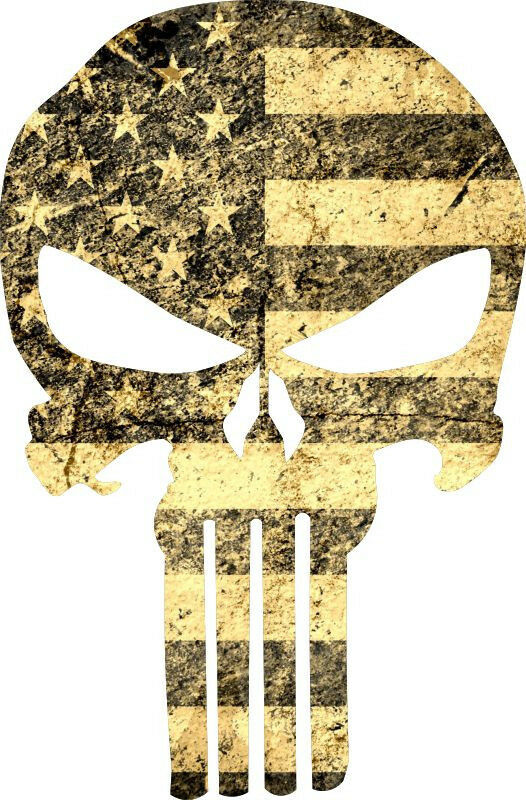 Punisher Skull Vintage USA Flag Punisher Exterior Decal - Graphic Various Sizes - Powercall Sirens LLC