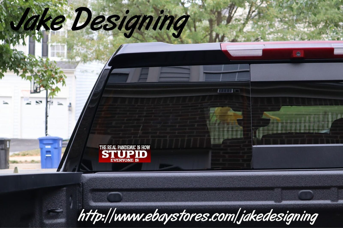The Real Pandemic is how Stupid Everyone is Bumper Sticker 8.7" x 3" - Powercall Sirens LLC