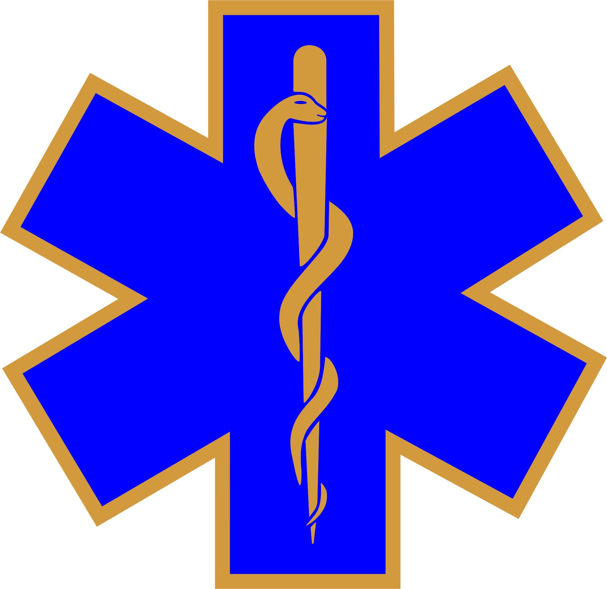 EMS Star with Gold Outline and Staff Decal - Powercall Sirens LLC