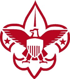 Boy Scout Eagle Decal