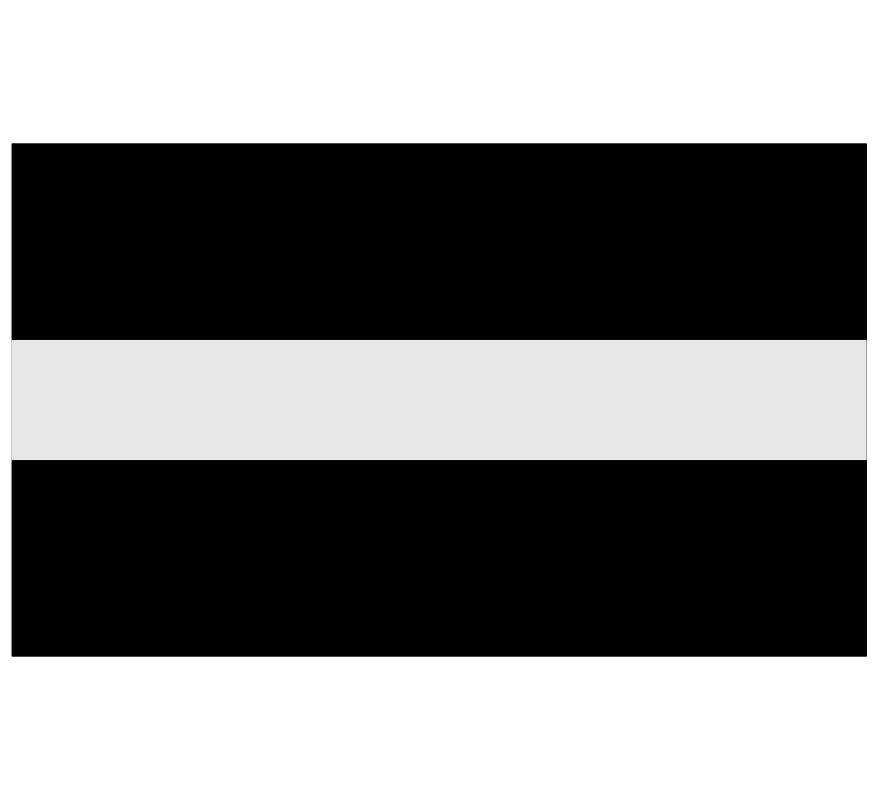 Thin Silver Line Exterior Window/Helmet Decal