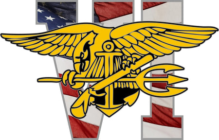 Seal Team 6 Eagle Only Decal