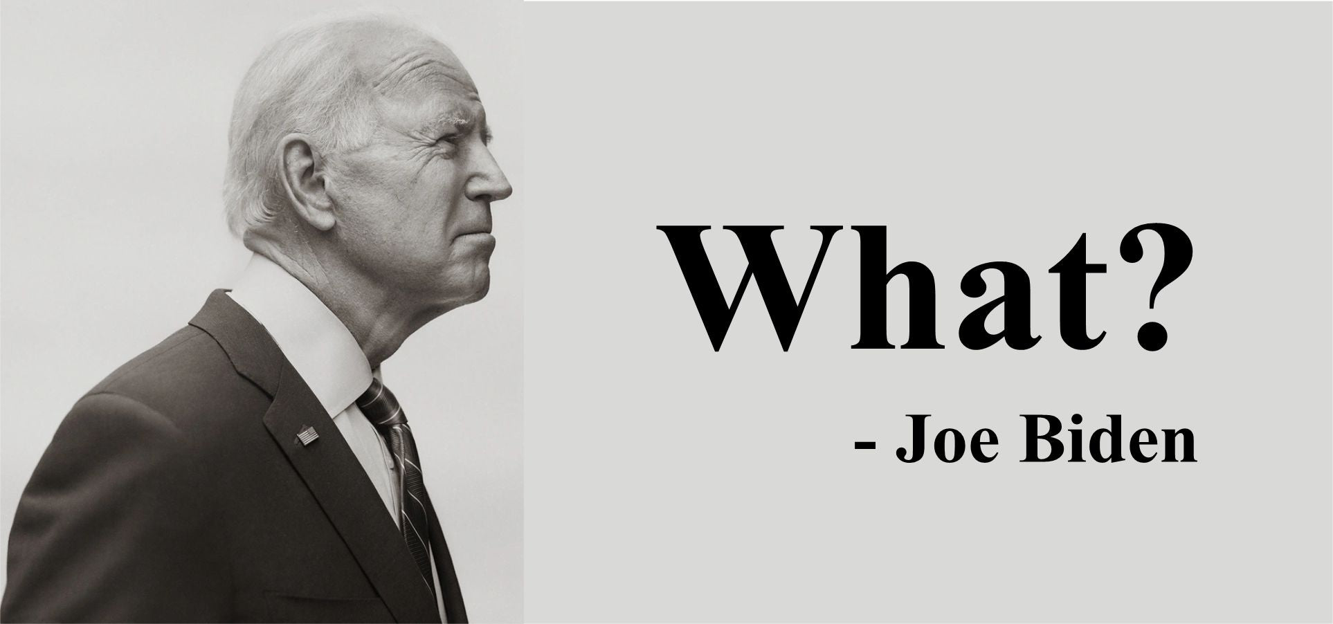Anti Joe Biden "What" Bumper Sticker 6" x 4" - Powercall Sirens LLC